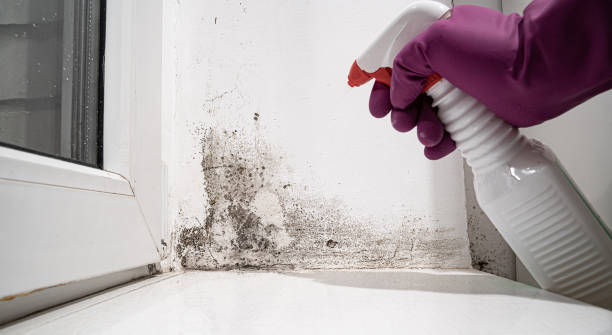 24/7 water damage repair